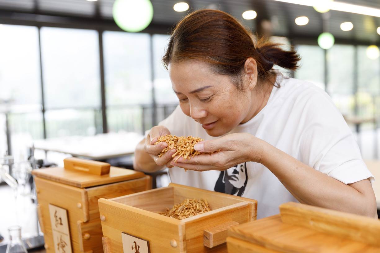 在這裡還能體驗辨別不同紅檜、肖楠與香杉等不同木頭的香氣。